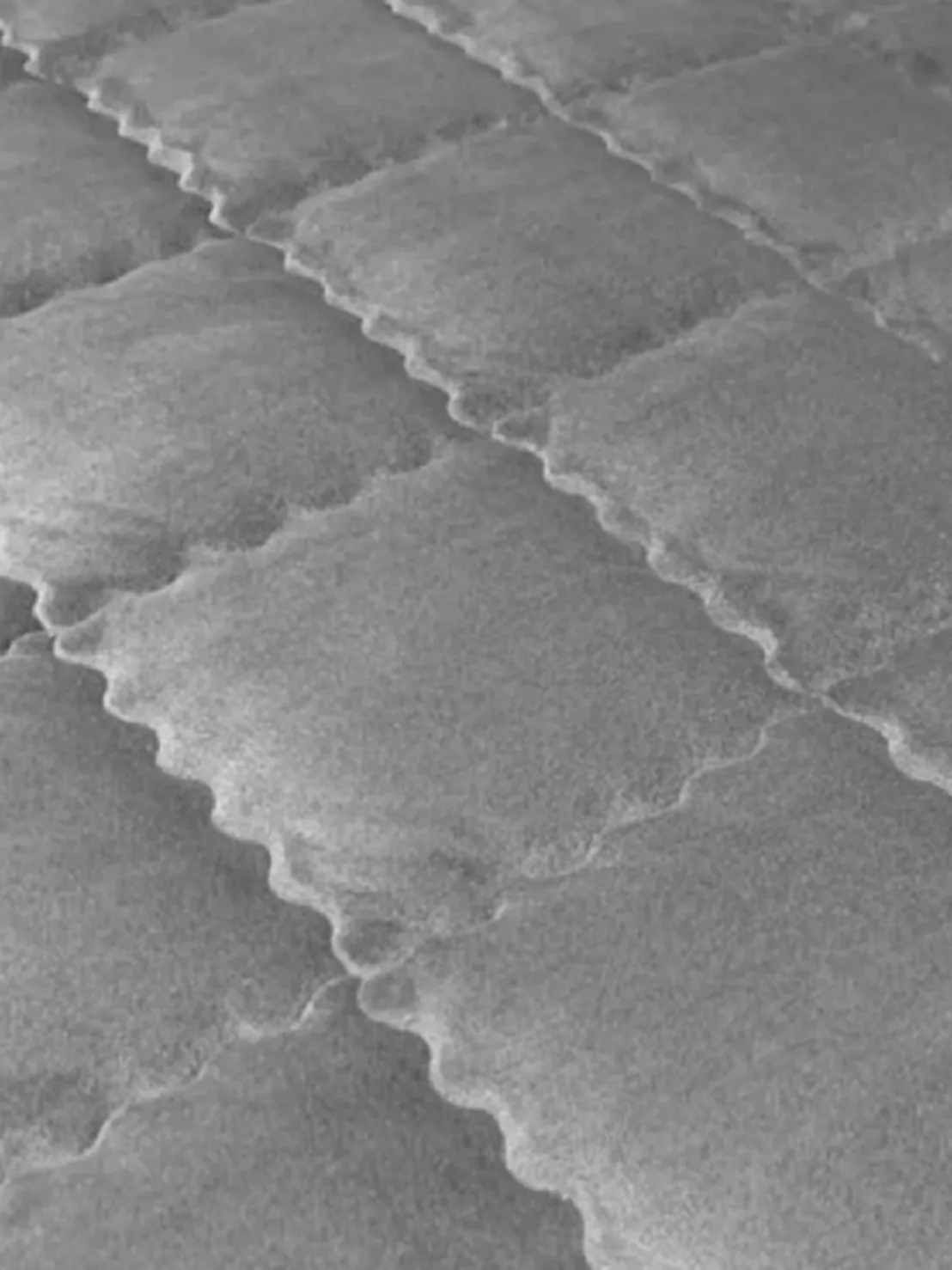 งานบ้านคุณดิว_200814_18